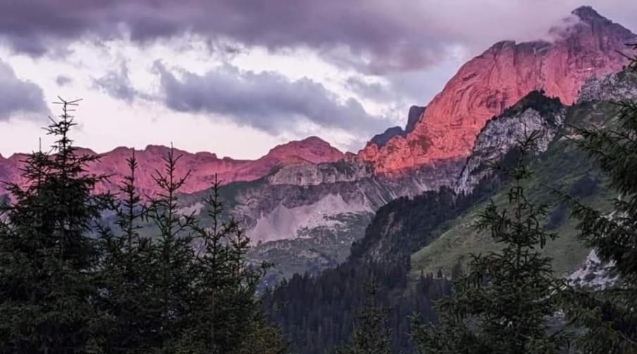 Апартаменты Alpenperle Изенталь Экстерьер фото